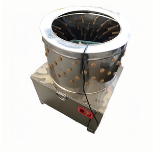 Desplumadora de pollo con plumas industriales al mejor precio, máquina desplumadora comercial, máquina desplumadora de pollo usada en el hogar - Product Image 5