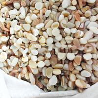 Vente en gros de copeaux de fibre de verre JUESHUI pour terrazzo, résine, artisanat, aménagement paysager et décoration de piscine