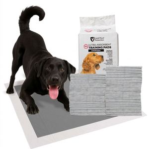 Tapis hygiénique jetable pour chiens 60x90cm en bambou carbonisé, pour petits animaux, pour l'apprentissage de la propreté des chiots - Product Image 1