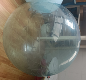 Tùy chỉnh 95cm PVC Phòng tập thể dục bóng trong suốt mịn ổn định Workout tính năng rõ ràng Yoga tập thể dục bóng cho vật lý trị liệu - Product Image 1