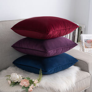 Housse de coussin en <span class=keywords><strong>velours</strong></span> de luxe décoration de <span class=keywords><strong>canapé</strong></span> 18x18 20x20 taie d'oreiller <span class=keywords><strong>velours</strong></span> maison <span class=keywords><strong>canapé</strong></span> doux confortable accepter personnalisé jeter taie d'oreiller - Product Image 5