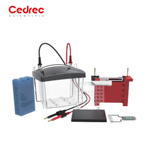 Electroforesis Vertical (Cuatro Placas) Equipo de Laboratorio para Electroforesis Vertical - Product Image 4