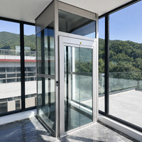 Ascenseur domestique moderne populaire et abordable, prix usine, 400 kg, 2-6 étages, faible bruit, pour villa, avec panneau arrière décoratif éclairé par LED