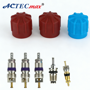 อะไหล่แอร์รถยนต์ วาล์วสีแดงน้ำเงิน รุ่น AC.113.176 สำหรับรถยนต์ออดี้ บีเอ็มดับเบิลยู มินิ วาล์วแอร์ รุ่นใหม่ แกนวาล์ว <span class=keywords><strong>R12</strong></span> R134A CAP&VALVE K - Product Image 2