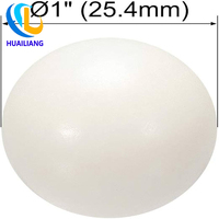 Bolas de Nylon MC Directas de Fábrica, Bolas de Plástico de Nylon Industriales Resistentes al Desgaste Impregnadas con Aceite, Tamaño Personalizado