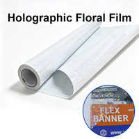 Film de lamination à froid holographique en PVC adhésif Elf pour verre brisé, rouleau de 1,27 m x 50 m pour studio, publicité et projets artisanaux