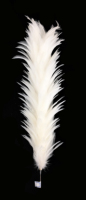Plumero de Plumas de Gallo Reutilizable y Ecológico, Color Natural, con Mango de Madera, para Limpieza del Hogar, Coche y Oficina