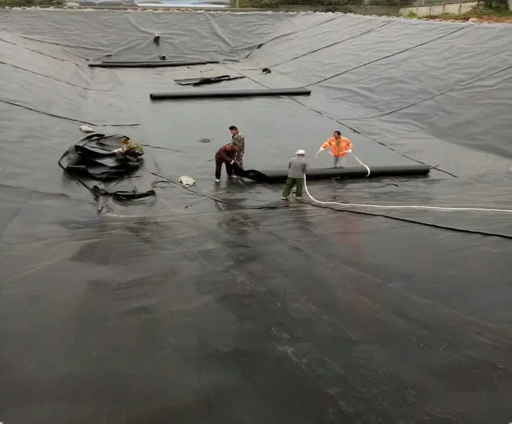 Geotextile Membrane High Quality Waterproof Geomembrane Fabrics For Landfill Fish Farm Pond Aquaculture Agriculture