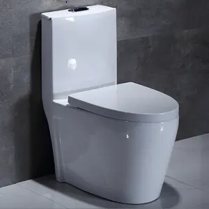 위생 상품 한 조각 siphonic 내뿜는 지면 거치된 착색된 목욕탕 변기 세라믹 대리석 화장실