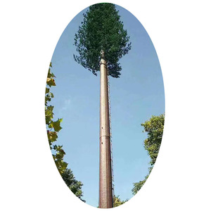 अनुकूलन योग्य 20 मीटर-50 मीटर गैल्वेनाइज्ड स्टील बायोनिक ट्री टावर मोनोपॉल एंटेना कामोफ्लेज्ड दूरसंचार टावर सहायक पेड़ - Product Image 5