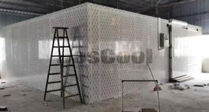 Bescool Kühlraum Kühlzelle Kühlcontainer 100mm 120mm PU-Panel Sandwich-Stahlpaneel Kühlraum - Product Image 4