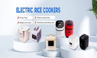 Cuisinière à riz électrique automatique 5L 900W pour usage domestique, modèle HL-66