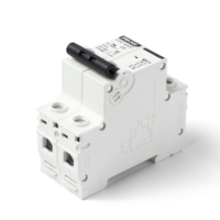 Disyuntor MCB DZ47-125 2 pôles 2 p double pôle 6/10/16/20/25/32/40/50/63/125 amp ac dc électrique mini disjoncteurs miniatures