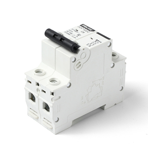 DZ47-125 MCB disyuntor 2 cực 2 P đô<span class=keywords><strong>i</strong></span> cực 6/10/16/20/25/32/40/50/63/125 amp AC DC Đ<span class=keywords><strong>i</strong></span>ện Mini thu nhỏ bộ phận ngắt mạch - Product Image 3