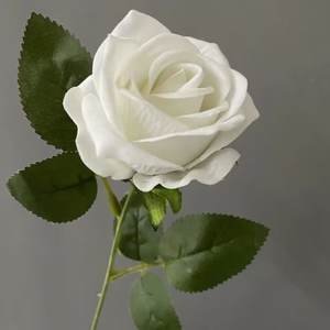 थोक वैलेंटाइन्स डे ने एकल गुलाब की वास्तविक टच15 सेमी लंबी स्टेम को संरक्षित गुलाब संरक्षित किया - Product Image 4