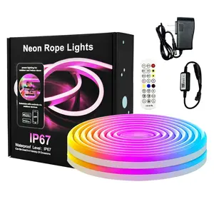 16.4Ft Led Neon Flex Avec Musique Sync 5M Led Bande Lumières Pour Chambre Salon Salle De Jeu Décoration Murale Rgbic Neon Rope Light