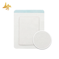 Hot & Cold Packs Patch transdermique Nouveau produit-Pansements chinois à base de plantes pour le soulagement de la douleur sciatique du dos