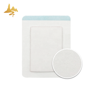 Parche transdérmico <span class=keywords><strong>de</strong></span> paquetes calientes <span class=keywords><strong>y</strong></span> fríos Nuevo producto-Yesos <span class=keywords><strong>de</strong></span> hierbas chinas para aliviar el <span class=keywords><strong>dolor</strong></span> <span class=keywords><strong>de</strong></span> ciática en la espalda - Product Image 3