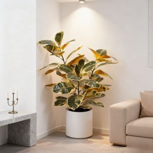 ต้นยางพาราปลอมหลากสีคุณภาพสูงสำหรับตกแต่งภายในบ้าน ขายส่ง - Product Image 1