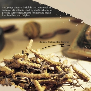 YIYECHU Private Label Washing Free Fluffy Oil-Control Refreshing Non-White Residue Anti-dandruff Hair <strong>Shampoo</strong> <strong>Dry</strong> <strong>Shampoo</strong> - Product Image 3