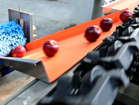 Volledig automatische fruitwas-, was-, droog-, sorteerlijn voor sinaasappels, appels, avocado's, drakenvruchten; machine voor maat- en gewichtsselectie en verwerking.
