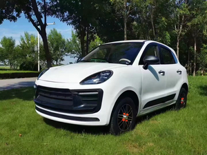 Bestseller: Mini Auto Elettrica 3500W Personalizzabile, Nuovo Design, Veicolo Elettrico a Quattro Posti per Anziani, Veicolo a Nuova Energia - Product Image 2