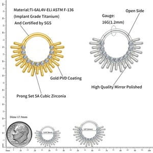 Gaby ASTM F136 D-Shaped Piercing Titanium 14K <b>Gold</b> Plated Zircon Wedding Unisex Nose <b>Ring</b> Horse Shoe Septum Piercing Jewelry - Product Image 5
