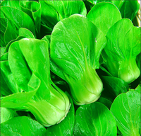 Industriële Automatische Groente En Fruit Wassen Productielijn Salade Verwerking Prijs