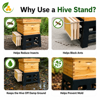Support de ruche en plastique détachable, portable et assemblable, fourni par l'usine, outils d'apiculture pour l'élevage des abeilles