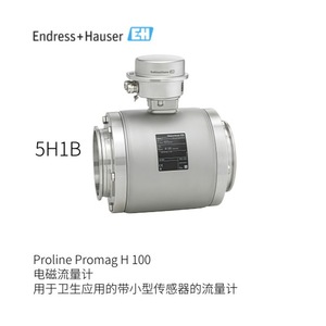 เครื่องวัดการไหลแบบแม่เหล็กไฟฟ้า Endress+Hauser รุ่น Proline Promag P 300 5P3B สำหรับการวัดน้ำและของเหลว - Product Image 5