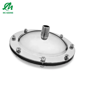 Difusor poroso Co2 Microburbujas Disco de aireación resistente a la corrosión Difusor de ozono Aireación de ozono Piscina Placa difusora de aire de ozono - Product Image 2