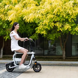 YIDI pet outing electric scooter 500w motor electrically bicycle electric bike with dog carrier