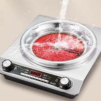 Professioneller 3500W Infrarot-Kocher mit Touch-Steuerung, GS-zertifizierte Keramikplatten, Elektroherd mit Schnellheizung, Wasserdichter Einzelkocher für die Arbeitsplatte