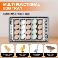 WONEGG Incubateur et éclosoir entièrement automatique de 20 œufs de poule pour la dinde
