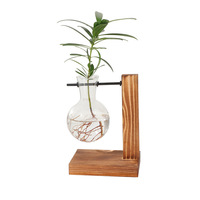 Vase hydroponique créatif transparent pour la culture aquatique de roses vertes, en verre, design simple et moderne pour la maison