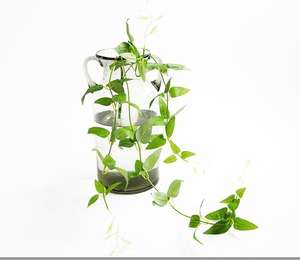 Plante Artificielle Mignonne Nouveauté 2026 pour Décoration de Plafond, Abri de Jardin, Rangement Extérieur et Aménagement Décontracté - Product Image 2