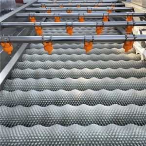 เครื่องล้างแปรงแบบลูกกลิ้งจีนสำหรับล้างมันฝรั่ง มันสำปะหลัง เผือก และมันเทศ  มีจำหน่าย - Product Image 6