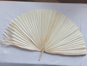 Z3467 Entrega Rápida, Hojas Secas Artificiales Decorativas, Hojas de <span class=keywords><strong>Palma</strong></span> Preservadas para Decoración de Escenarios - Product Image 3