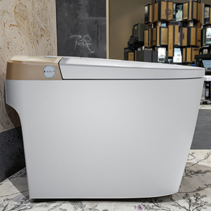 WC intelligent monobloc de luxe avec télécommande, siège chauffant, drainage en P/S, design à poser au sol - Product Image 2