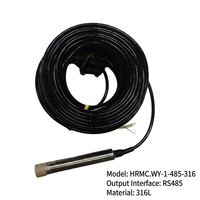 HRMC.WY-1 Capteur intégré de niveau d'eau et de température submersible haute précision IP68 RS485 4-20mA Prise en charge Modbus-RTU