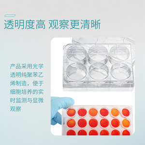 Placas de Cultivo Celular Corning de 12 Pocillos, Irradiadas, Esterilizadas, Tratadas con TC, de Poliestireno, Microplacas de Laboratorio - Product Image 2