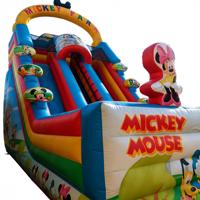 Toboggan gonflable géant sur le thème de Mickey Mouse, en PVC, respectueux de l'environnement, pour enfants, de qualité commerciale, pour jeux en plein air