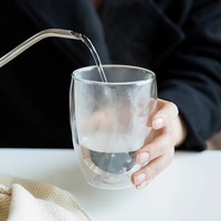 250ml/350ml/450ml 누수 방지 투명 이중벽 붕규산 유리 빈티지 스타일 텀블러 (유리 뚜껑, 손잡이, 빨대 포함)