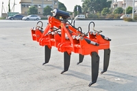 Machine de culture directe en usine, desserre profond, charrue, outils agricoles, Machine de charrue, scarificateur profond, sous-sol