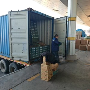 Envío Exprés LCL desde la Ciudad de Mangya a Ulaanbaatar, Camión de Contenedores, Mercancías Generales, Mongolia - Product Image 3
