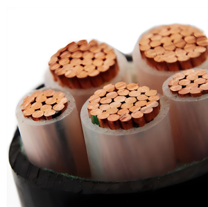 Câble en cuivre basse tension à cinq conducteurs avec isolation et gaine en PVC, 0,6 KV, pour usage en bâtiment - Product Image 6