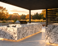 Cuisine extérieure avec évier et couvercle, unité de cuisson modulaire résistante aux intempéries pour jardin, terrasse, rénovation de cour