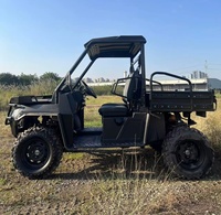 Vehículo Todoterreno Tipo Buggy Quad UTV, Robusto, para Transporte Agrícola, Patrullaje de Sitios, Actividades Deportivas al Aire Libre