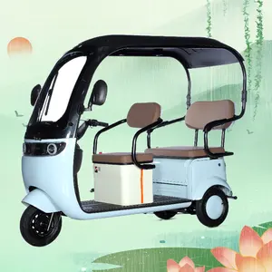 2024 Latest Ultra-Luxury Electric Pedicab Dual-Use Semi-Enclosed Leisure Tricycle Two-Row Passenger Cargo Storage Box Steel