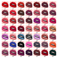 Trucco di bellezza per labbra all'ingrosso tubo nero 49 colori Private Label rossetto opaco liquido vegano